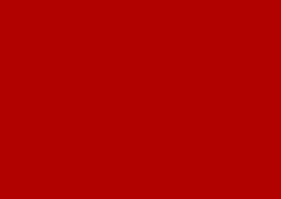 OBV-035 Dark Red